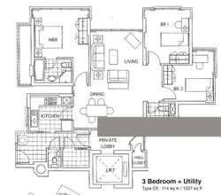 The Mayfair (D22), Condominium #216405481